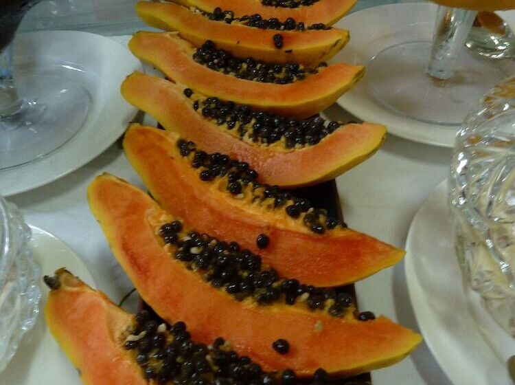 住宿加早餐 Aratinga Inn