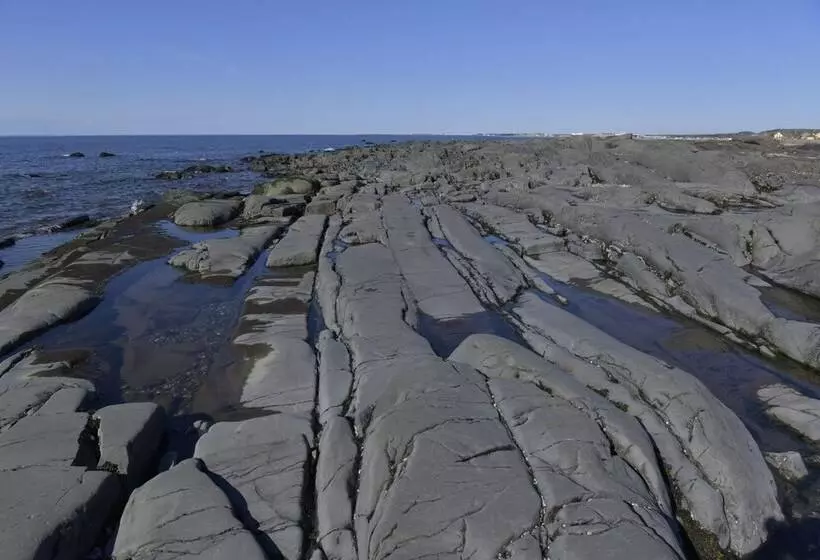 Hotelli Les Studios De La Mer