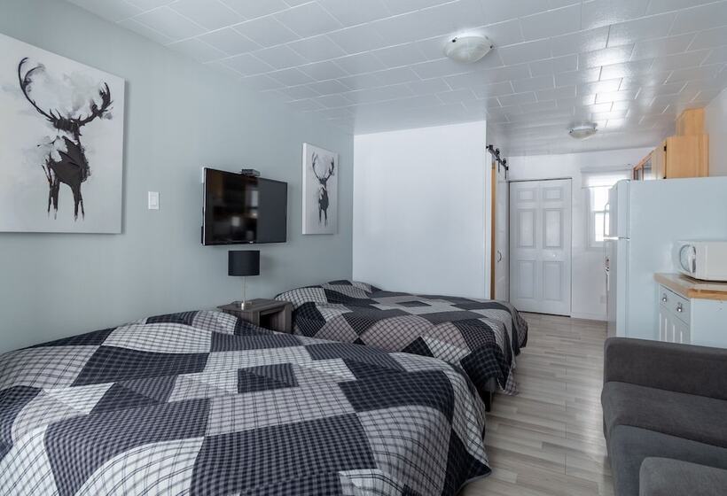 酒店 Les Studios De La Mer