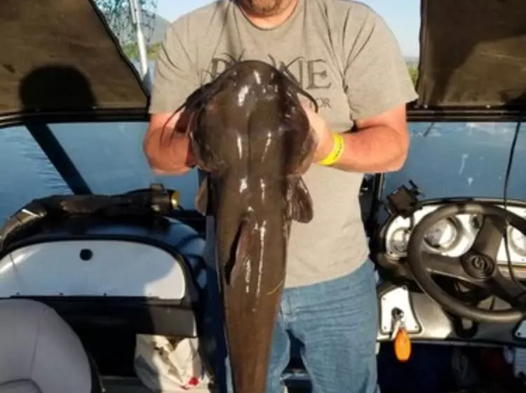 ホテル Omeo Clearlake Oaks