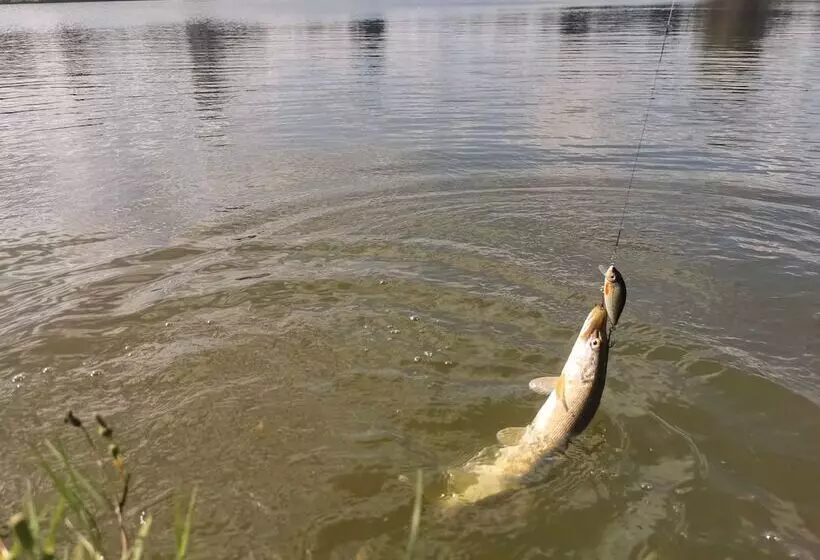 ホテル Omeo Clearlake Oaks