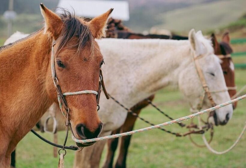 田舎風ホテル Fazenda Rota Dos Cânions