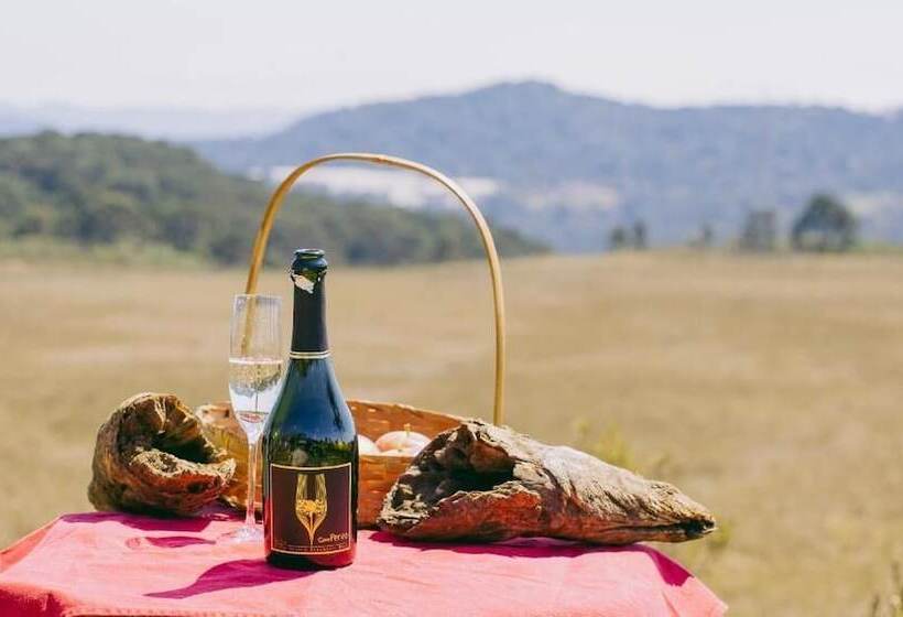 田舎風ホテル Fazenda Rota Dos Cânions