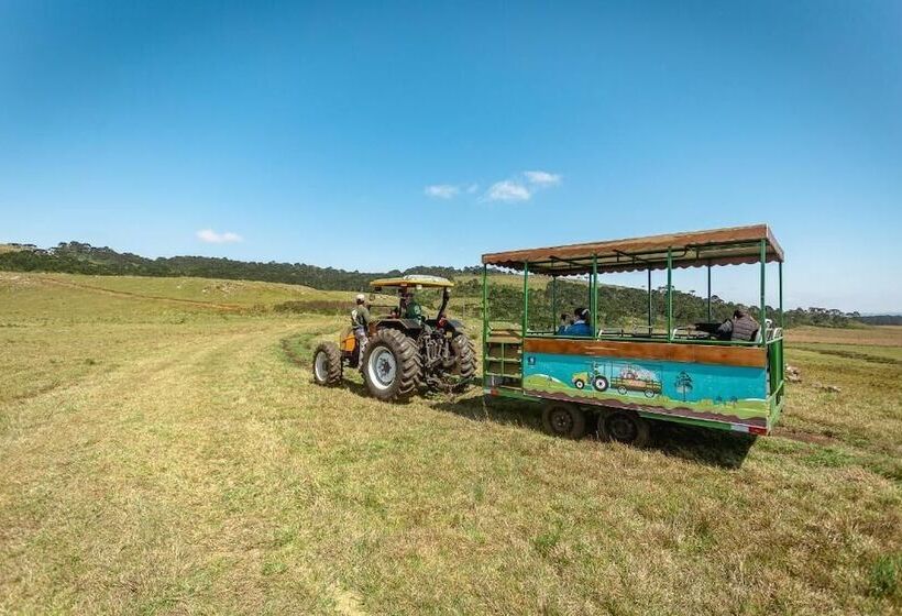 田舎風ホテル Fazenda Rota Dos Cânions