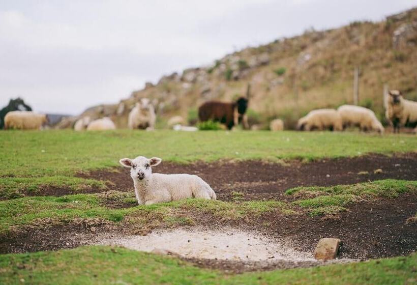 田舎風ホテル Fazenda Rota Dos Cânions