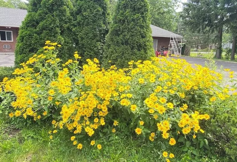 Hudson Valley 9w Motel