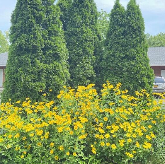 Hudson Valley 9w Motel