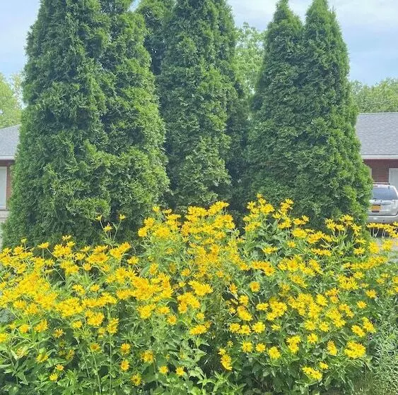 Hudson Valley 9w Motel