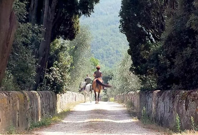 Amazing Cottage In S. Donato In Collina With Shared Pool