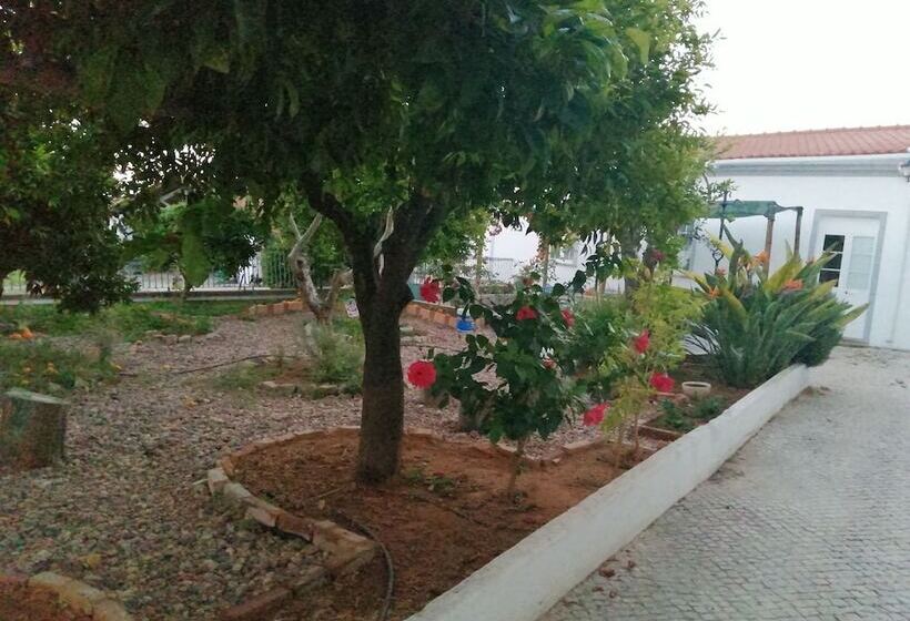 مبيت وإفطار Pias Guesthouse