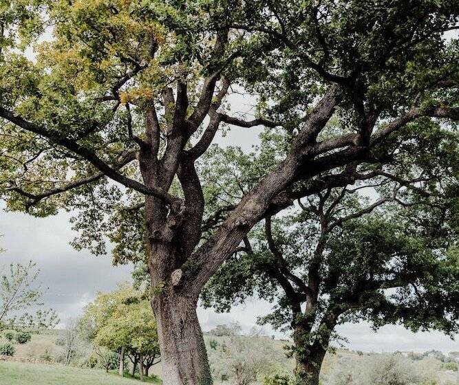 فندق ريفى Qui Voglio