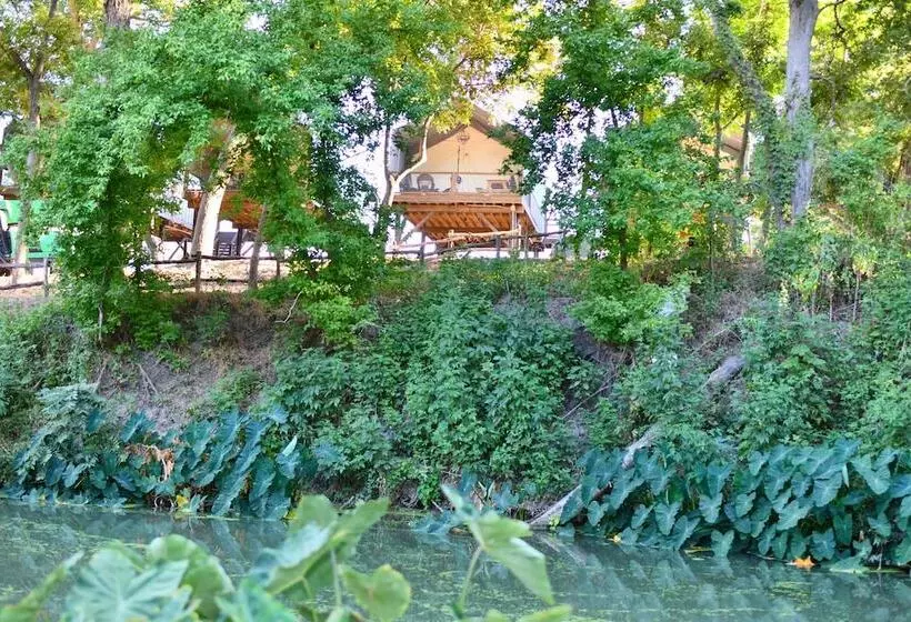 6 Son S Rio Cibolo   Birdhouse Cabin