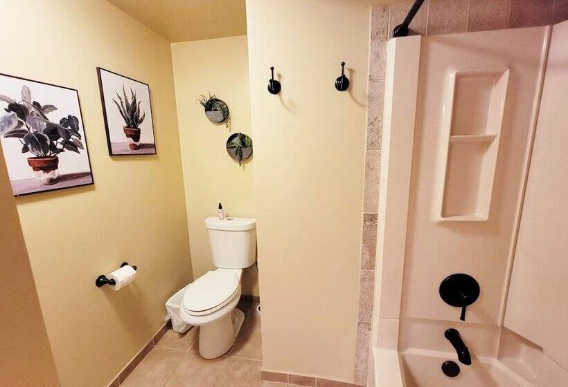 酒店 Cotton Mansion