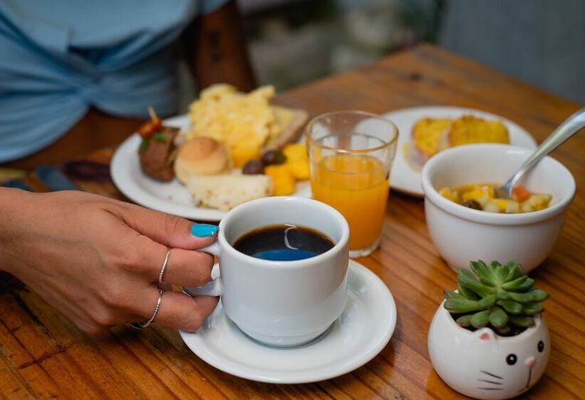 هتل Pousada Cacau Praia Do Rosa