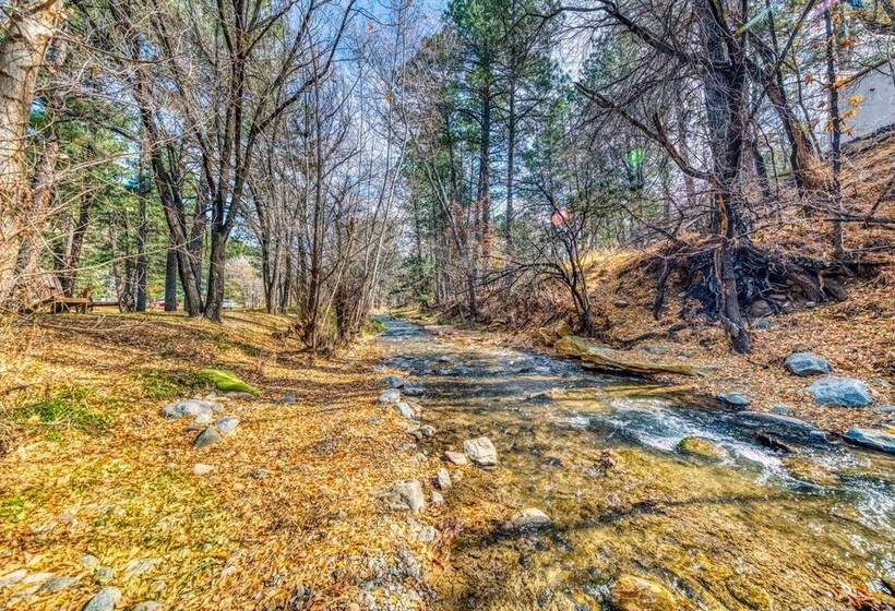 Paradise On The River