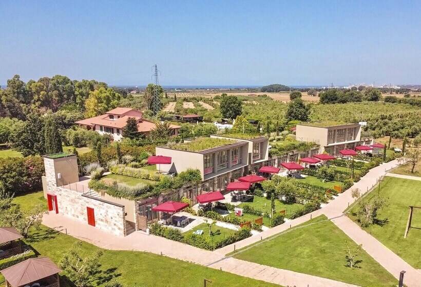 Residence A Vada Con Piscina