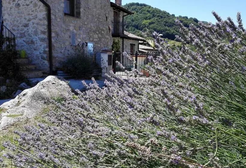 レジデンス Beautiful 2 Bed House