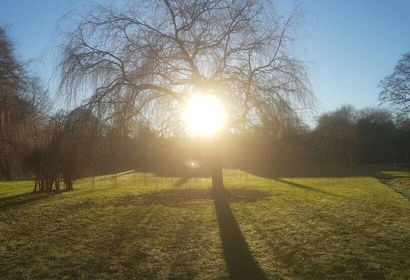 레지던스 Delightful 3 Bed Thatched Cottage Near Winchester