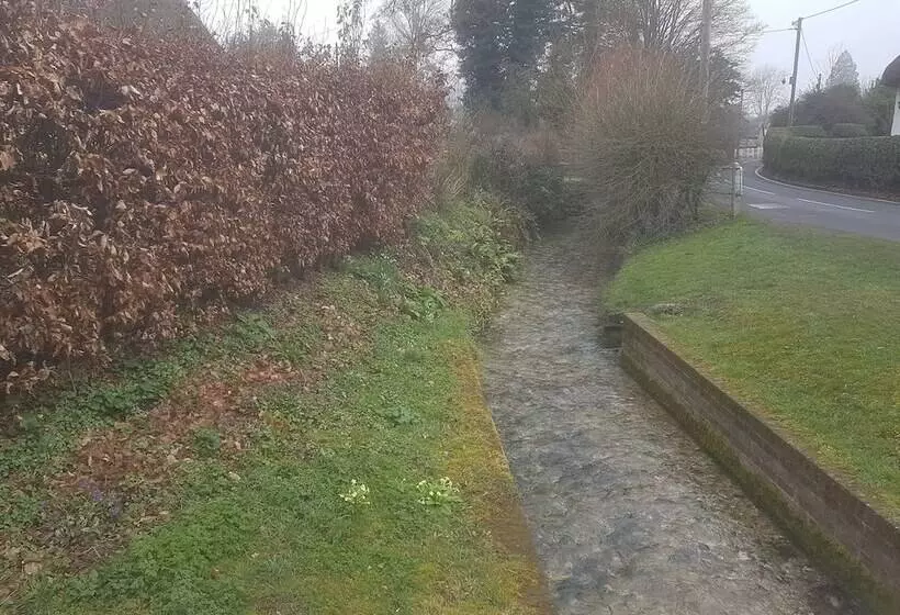 Residenssi Delightful 3 Bed Thatched Cottage Near Winchester