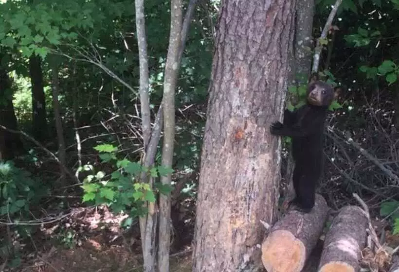 Roundtop Mountain Ridge