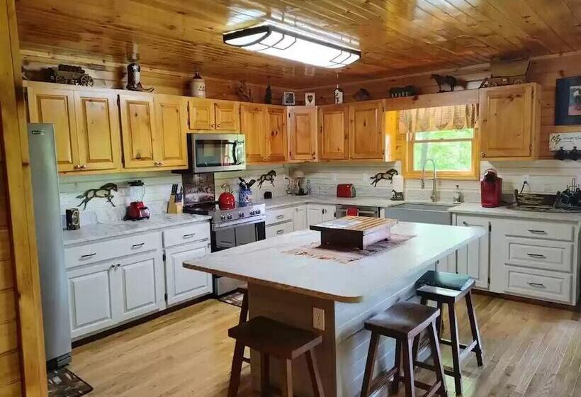 Smoky Mountain Reins #2314