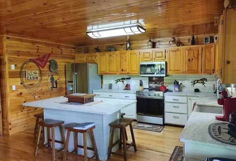 Smoky Mountain Reins #2314