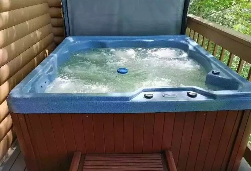 Smoky Mountain Reins #2314