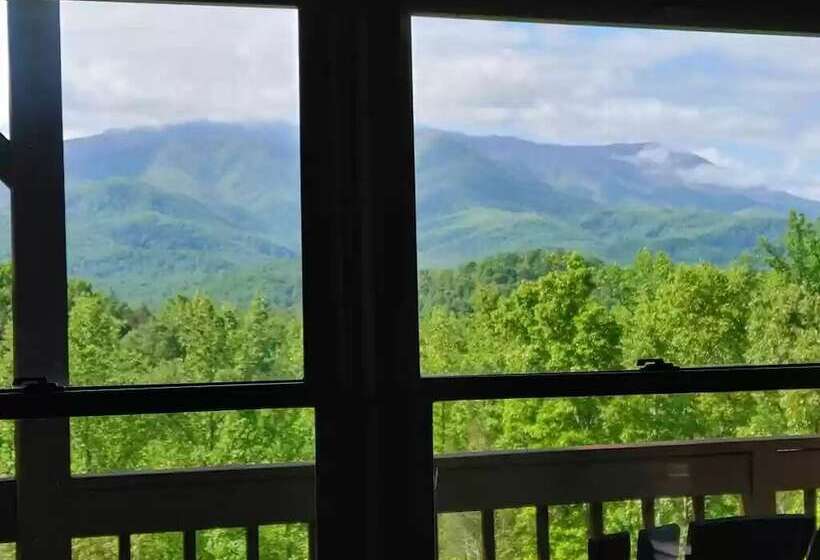 Smoky Mountain Reins #2314