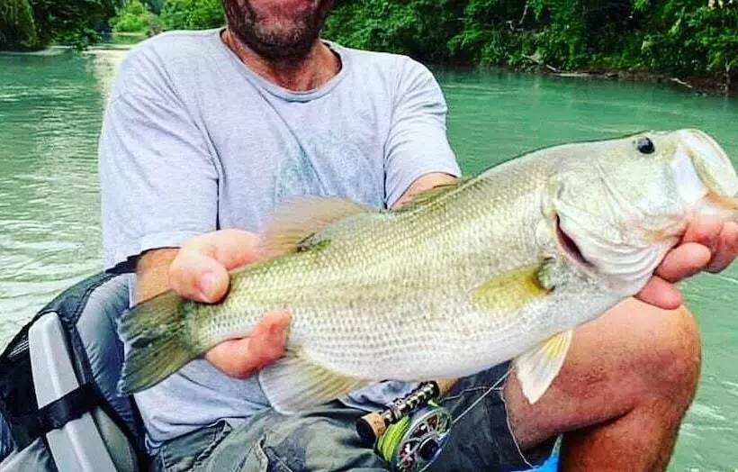 Son S Blue River Camp Glamping Cabin X