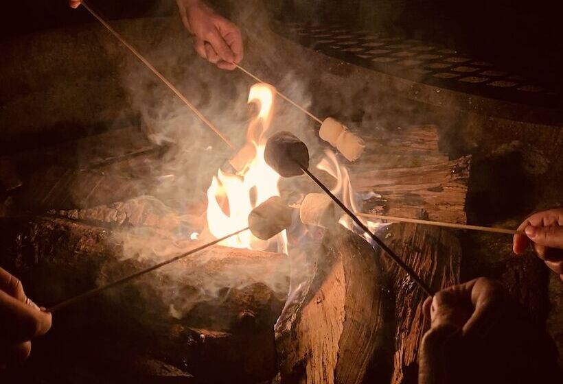 Son S Blue River Camp Glamping Cabin X