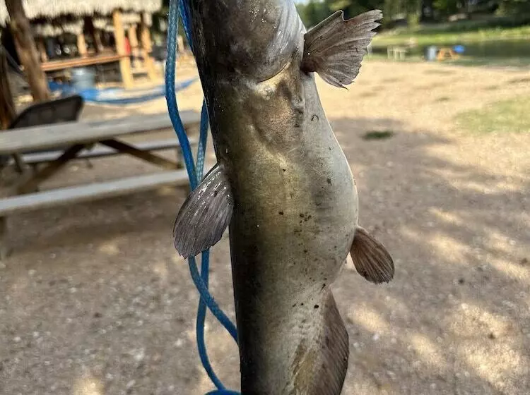 Son S River Ranch Glamping Cabin 33