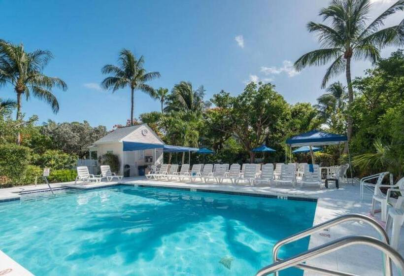 Lavender Jungle By Avantstay Great Location W/ Patio & Shared Pool! Week Long Stays Only