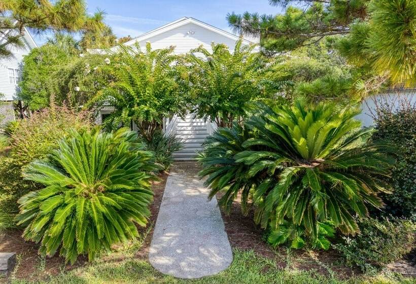 Live Oak By Avantstay Walk To Folly Beach