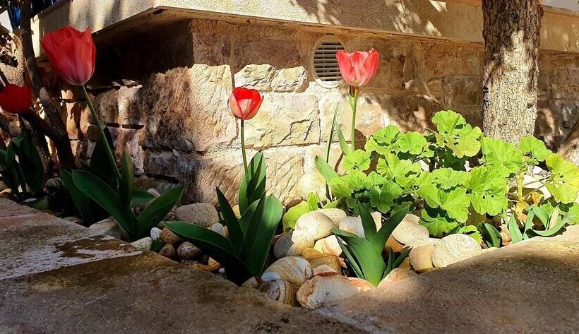 レジデンス Charming 3 Bed House In Tyros