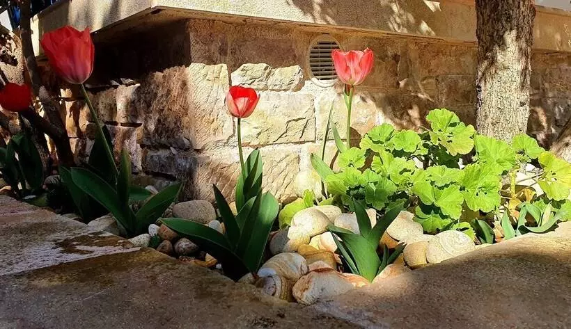 レジデンス Charming 3 Bed House In Tyros