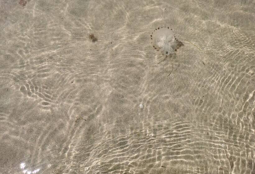 Sea And Mountain View Sunbeach Holiday Snowdonia