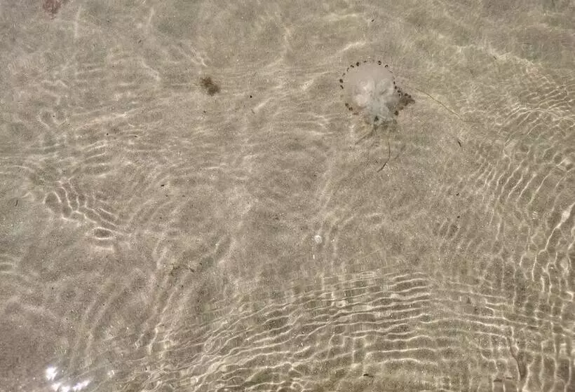 Sea And Mountain View Sunbeach Holiday Snowdonia