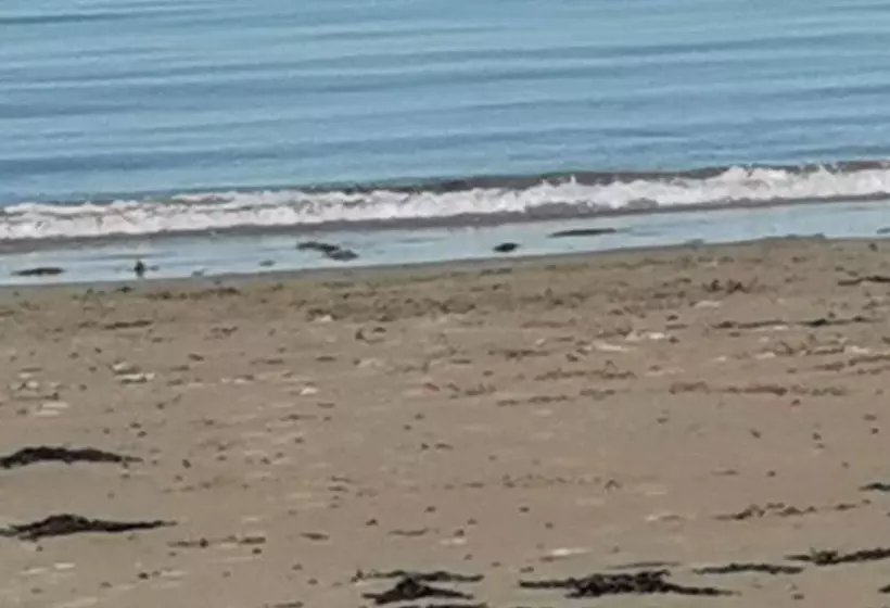 Sea And Mountain View Sunbeach Holiday Snowdonia