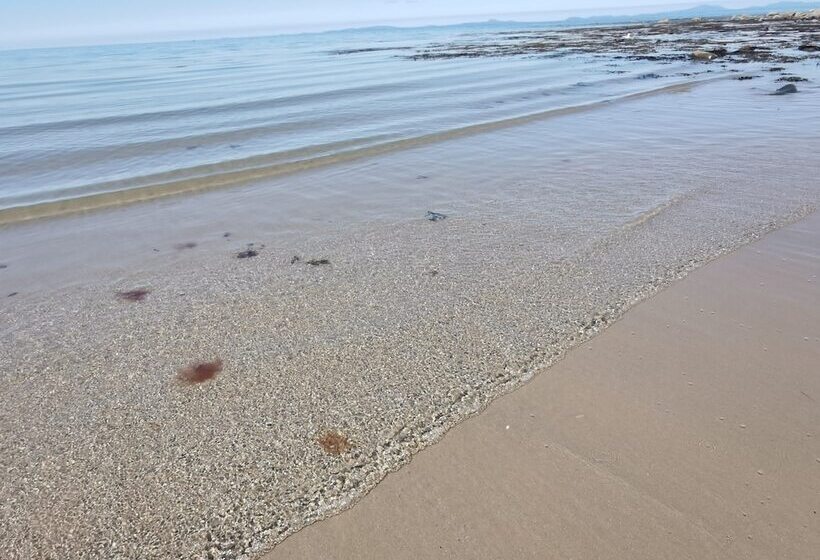 Sea And Mountain View Sunbeach Holiday Snowdonia