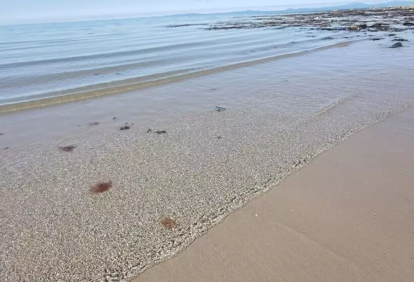 Sea And Mountain View Sunbeach Holiday Snowdonia