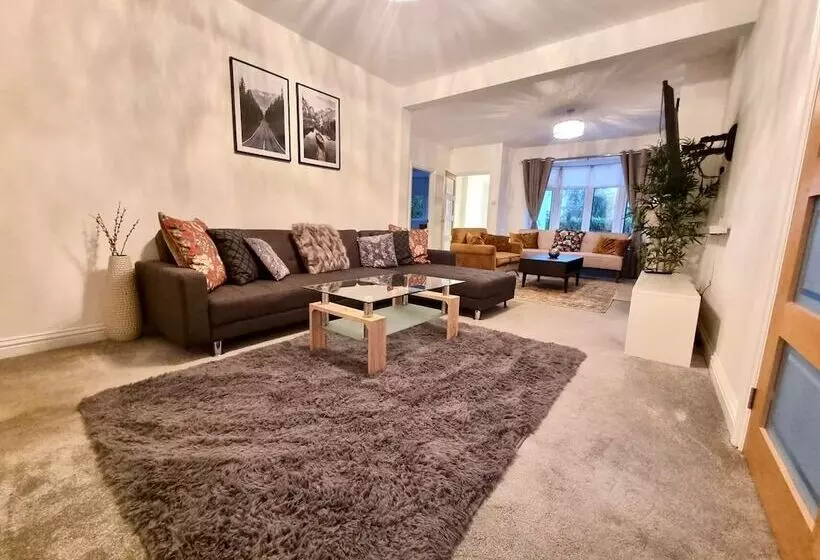 The Birchwood Pad By Kasar Stays
