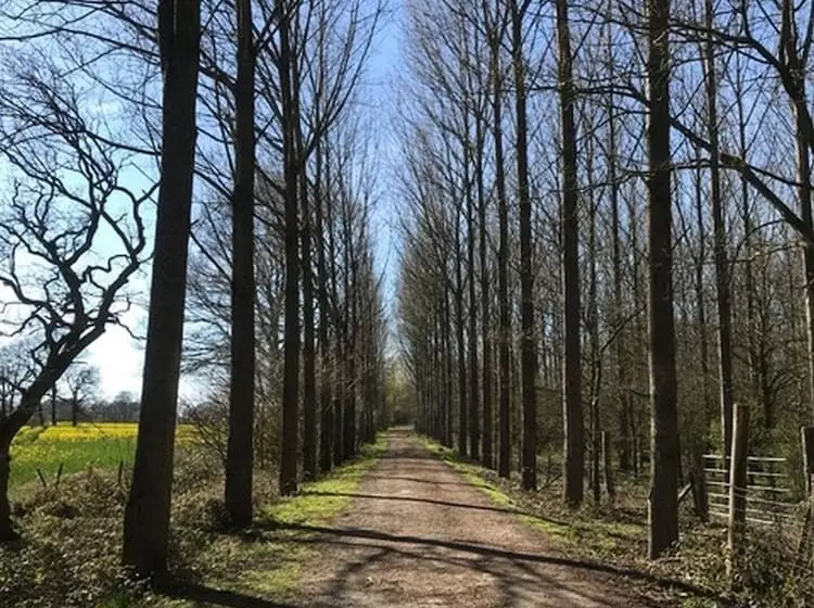 Delightful 4bd Home Full Of Flair Edenbridge Kent