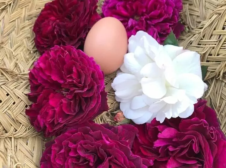 Delightful 4bd Home Full Of Flair Edenbridge Kent