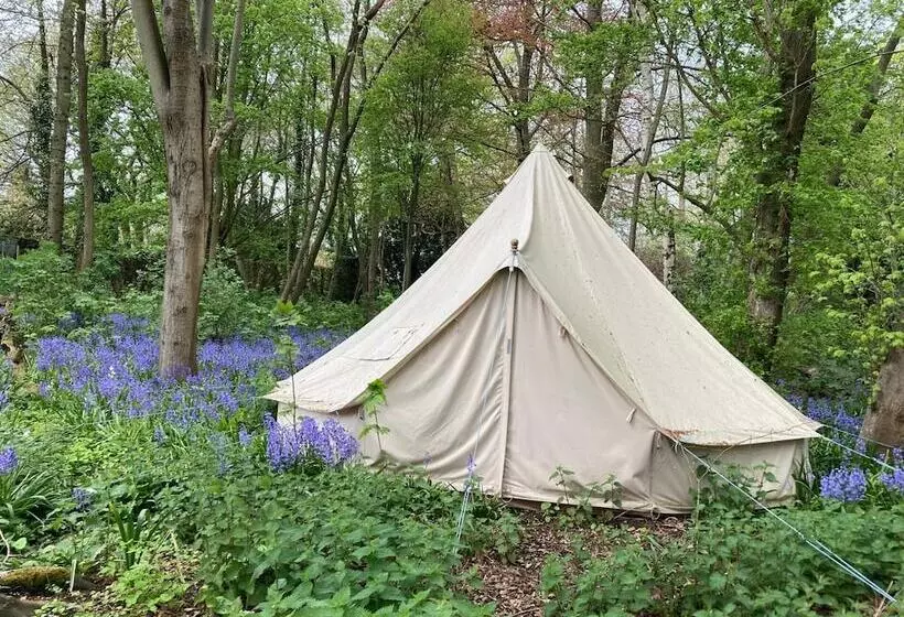 Delightful 4bd Home Full Of Flair Edenbridge Kent