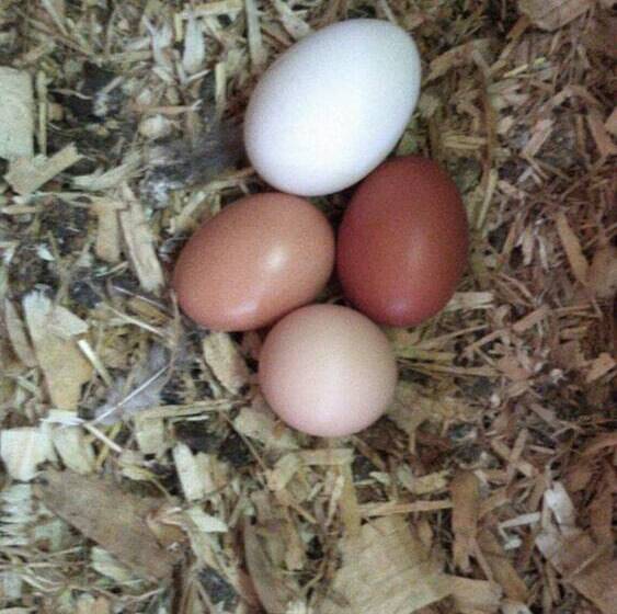 Delightful 4bd Home Full Of Flair Edenbridge Kent