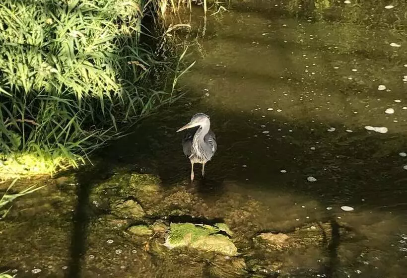 Delightful 4bd Home Full Of Flair Edenbridge Kent