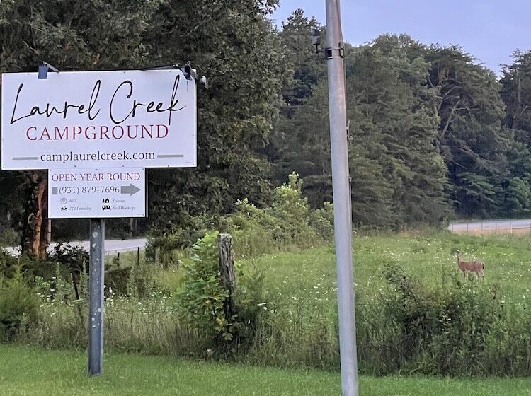 酒店 Laurel Creek Campground