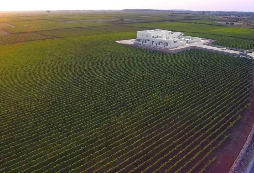 Maaseutuhotelli Gianfranco Fino Viticoltore