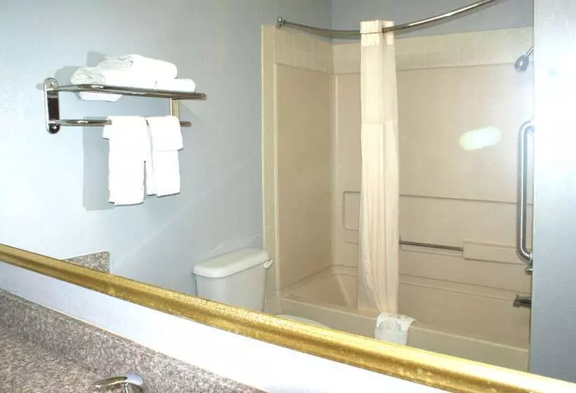 Motelli Sonesta Essential Van Buren