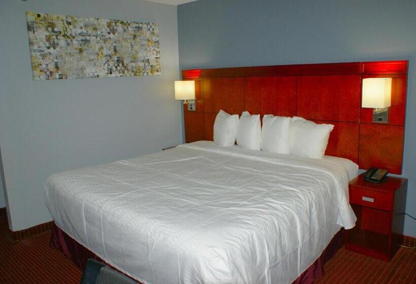 מוטל Sonesta Essential Van Buren